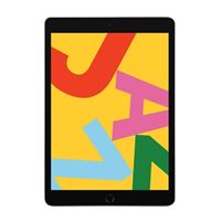 Refurbished Apple iPad 7 - House Grey (Late 2019 Mannequin)